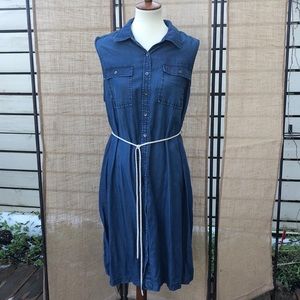 Liz Lange Denim Button Down Maternity Dress